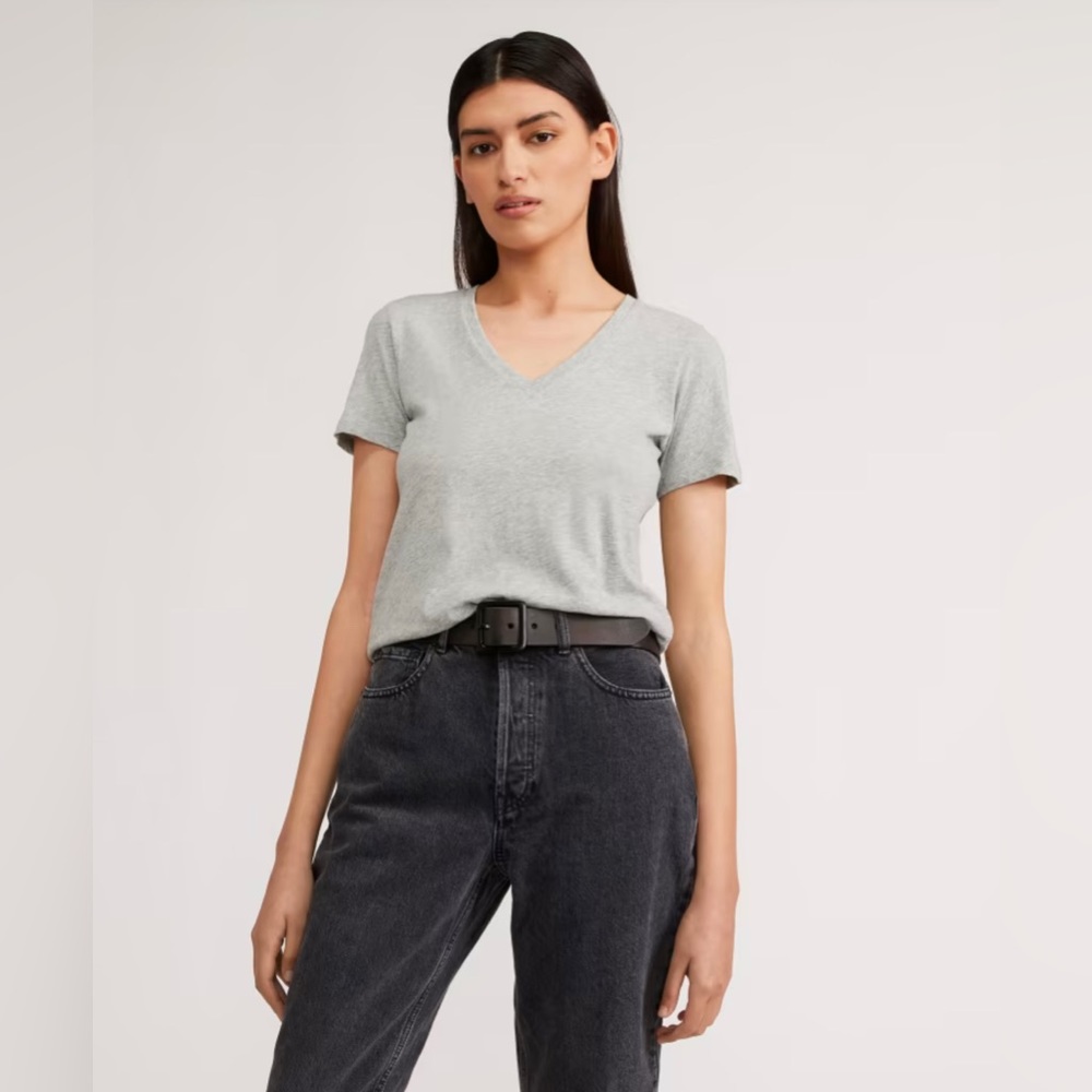 Everlane The Organic Cotton V-neck Tee in Heathered Grey NWOT